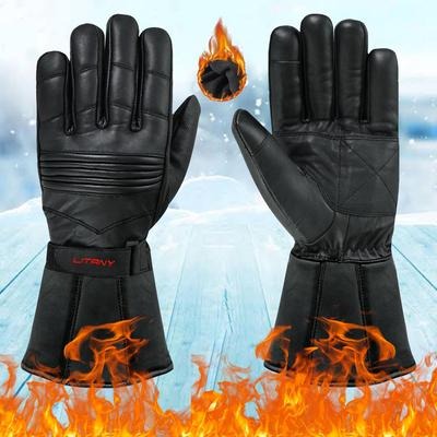 Motorbike Gloves, Thermal L265