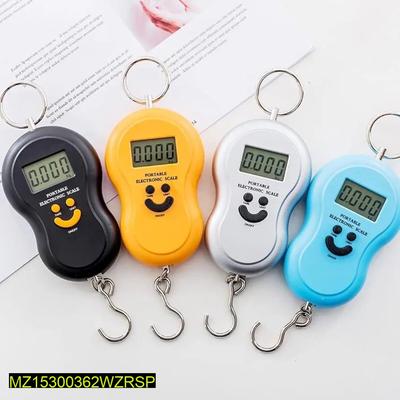 Portable Electronic Digital Weighing
